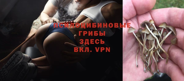 мет Магас