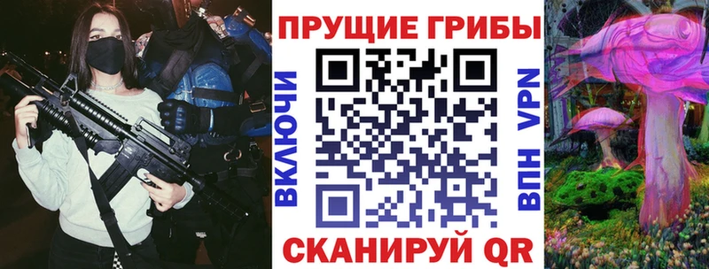 Галлюциногенные грибы GOLDEN TEACHER  где купить наркотик  Малгобек 
