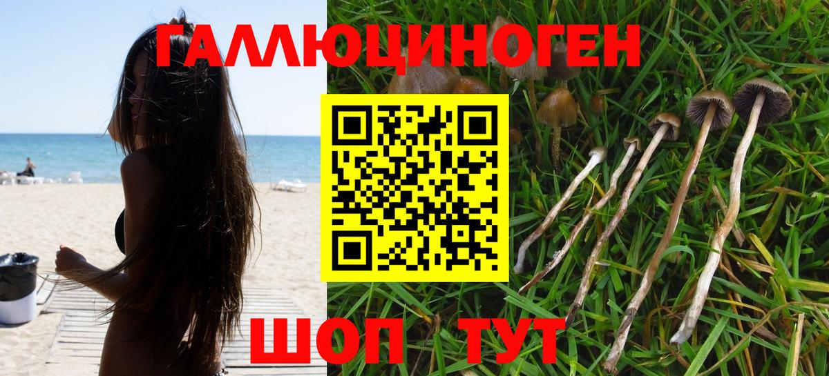 Псилоцибиновые грибы GOLDEN TEACHER  Псилоцибиновые грибы ЛСД  Малгобек  Вход с VPN 
