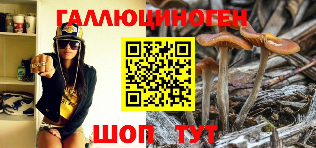 Кокаин Малгобек