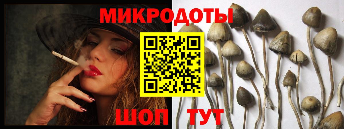 Псилоцибиновые грибы MAGIC MUSHROOMS Малгобек