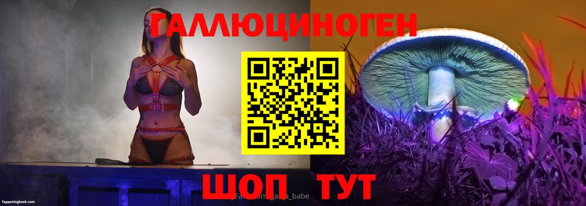 Галлюциногенные грибы Psilocybine cubensis  где купить наркоту  Малгобек 